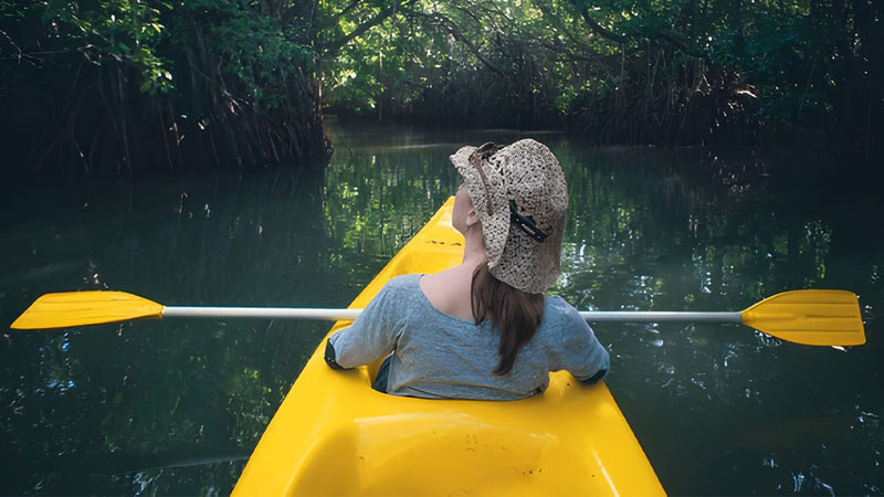 Lagoon Kayaking Tour from Negombo - What the two-hour outing involves