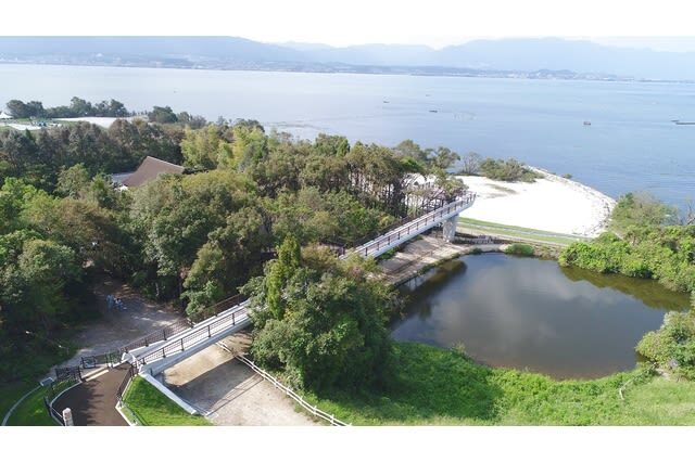 Lake Biwa Museum Adimission in Shiga - The freshwater aquarium brings the lake close