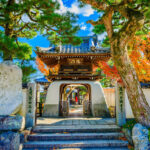 Lake Biwa Secret Scenery Pilgrimage Day Trip | Shirazu Shrine, Observation Deck/Sanzen-in Temple, Floating Temple, La Collina - Shirahige Shrine and its torii in the lake
