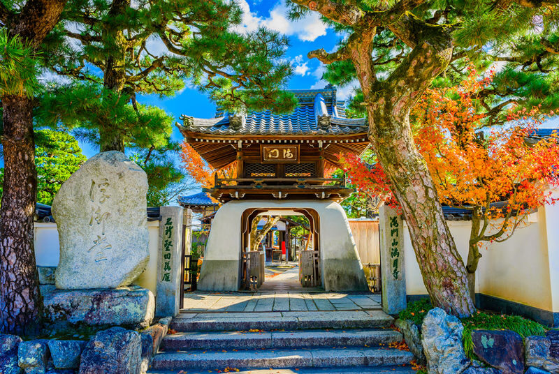Lake Biwa Secret Scenery Pilgrimage Day Trip | Shirazu Shrine, Observation Deck/Sanzen-in Temple, Floating Temple, La Collina - Shirahige Shrine and its torii in the lake