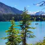 Lake Louise & Johnson Canyon Bus Tour from Canmore or Banff - Starting from Canmore or Banff