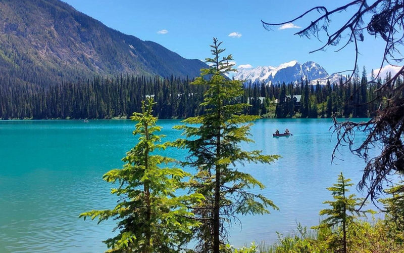 Lake Louise & Johnson Canyon Bus Tour from Canmore or Banff - Starting from Canmore or Banff