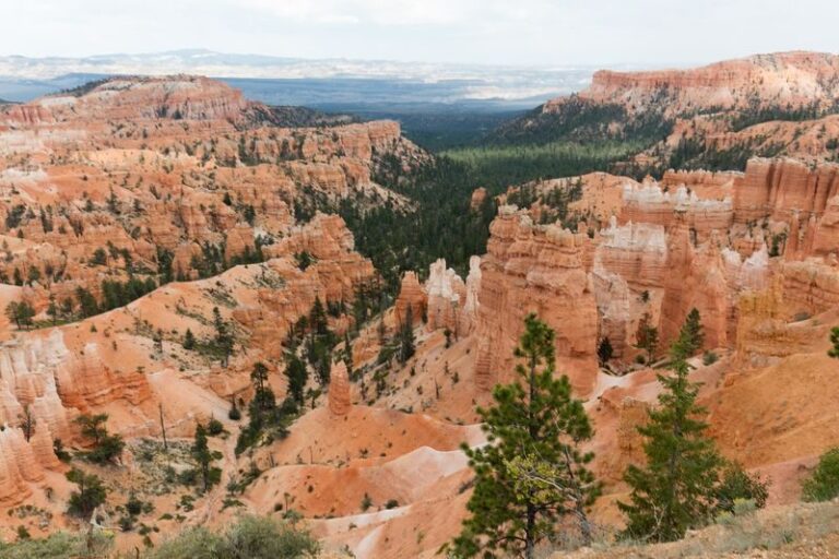 Las Vegas Grand Canyon & Bryce Canyon 3-Day Guided Tour - Day one: South Rim, Colorado River country, and Page