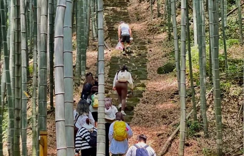 Light hiking and tea picking in the tea country, exploring the mysteries of the oxygen-rich reservoir. - Following the map toward Guangming Temple Reservoir