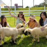 Lihpao Land Ticket in Taichung - Mala Bay: a separate seasonal water-park day