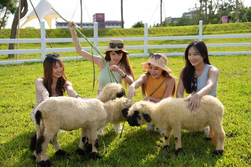 Lihpao Land Ticket in Taichung - Mala Bay: a separate seasonal water-park day