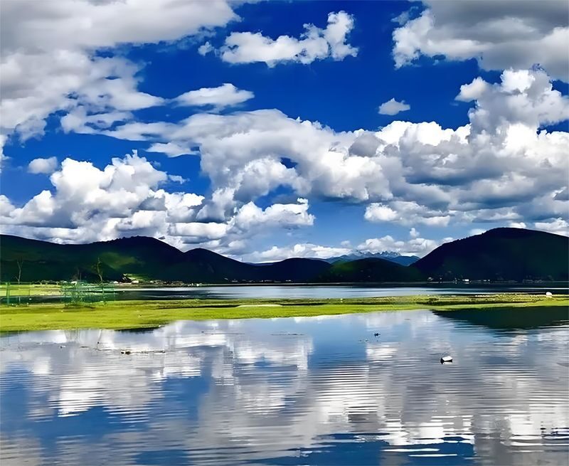 Lijiang to Shangri-La, Tiger Leaping Gorge, Napa Hai, Songzanlin Monastery Private Day Tour - Napa Lake brings a seasonal change