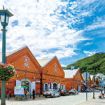 Limited Cherry Blossom Season: Hokkaido, Japan Private Day Tour: Departure/Return in Hakodate | Customizable Itinerary - Cherry blossom timing is not a viewing guarantee
