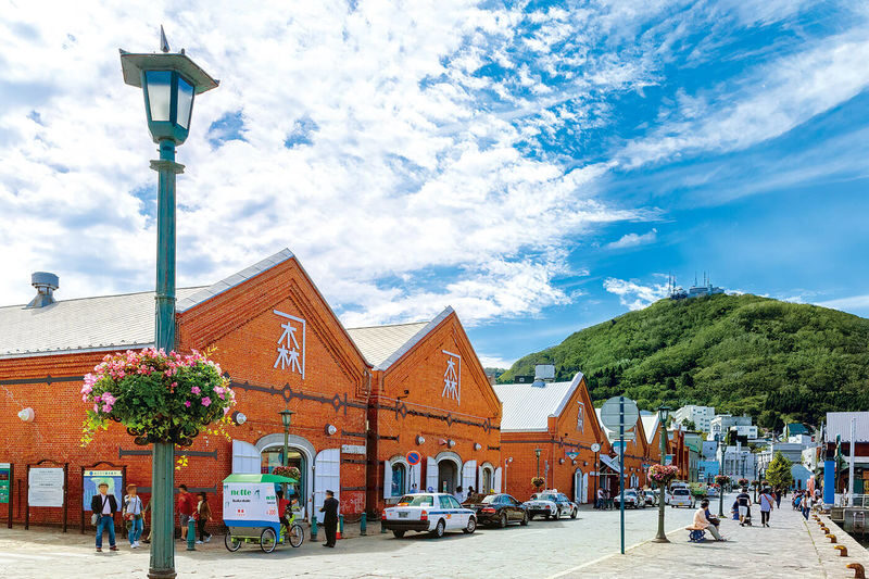 Limited Cherry Blossom Season: Hokkaido, Japan Private Day Tour: Departure/Return in Hakodate | Customizable Itinerary - Cherry blossom timing is not a viewing guarantee
