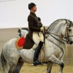 Lipizzaner performance ticket at the Spanish Riding School in Vienna - What the 70-minute show offers