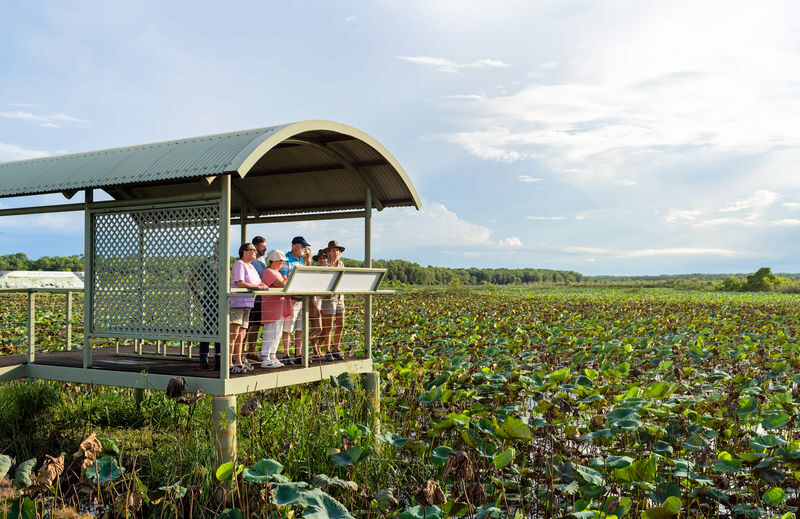 Litchfield National Park Day Tour from Darwin - Buley Rockhole, Wangi Falls and time to swim
