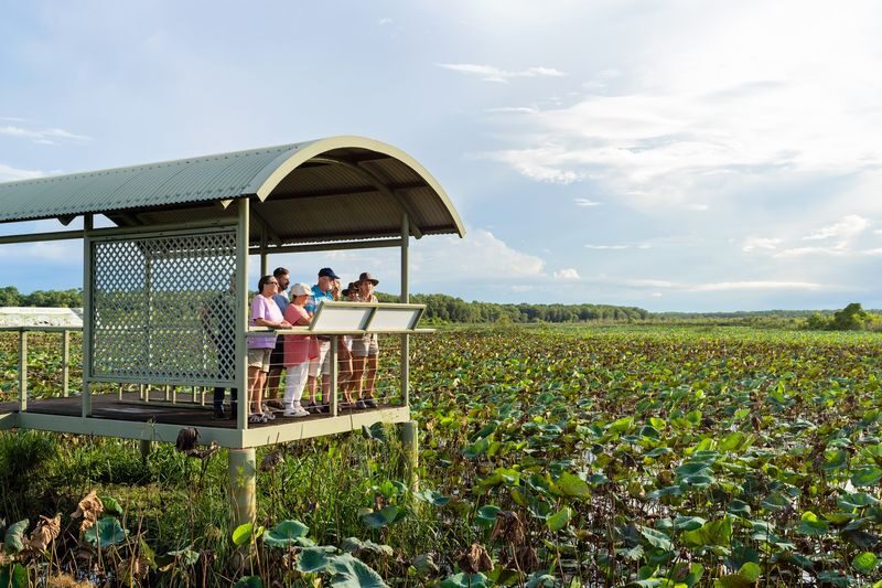 Litchfield National Park Tours - Fogg Dam brings a different kind of wildlife stop