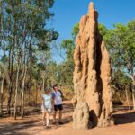 Litchfield National Park Waterfalls Day Tour - The termite mounds: architecture built by insects