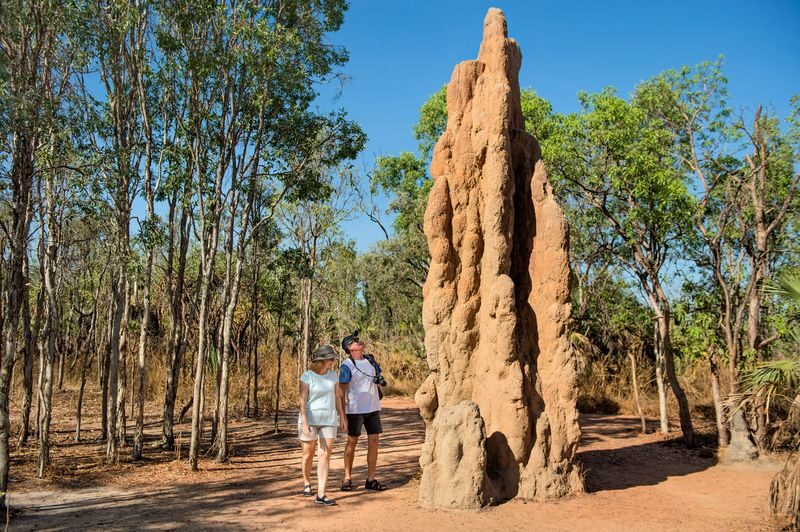 Litchfield National Park Waterfalls Day Tour - The termite mounds: architecture built by insects