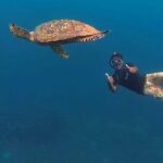 Lombok Tengah Full-Day Private Tour - Gili Layar and Gili Rengit by boat