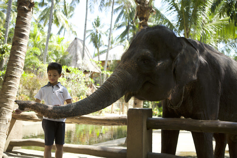Lombok Wildlife Park Ticket - Orangutans, birds, and a fruit basket