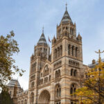 London Natural History Museum Express Tour with Audio Guide - Getting inside: the most important detail to verify