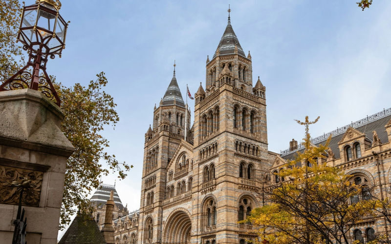 London Natural History Museum Express Tour with Audio Guide - Getting inside: the most important detail to verify