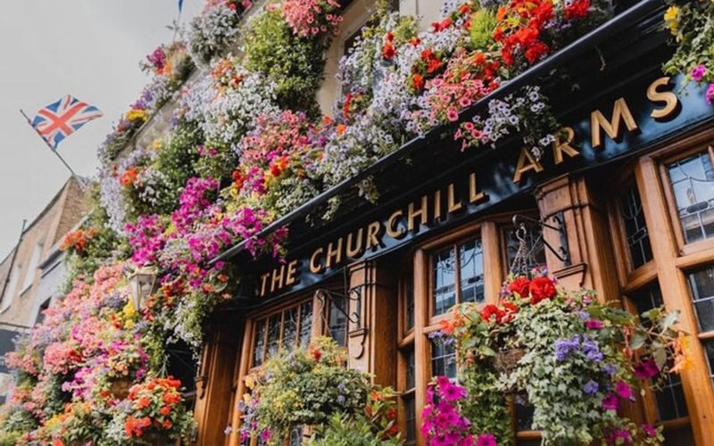 London private half-day black cab and Instagram tour - Choose the pictures you want to bring home