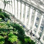 London: Sky Garden Early Access Ticket & Breakfast Treat - A pastry and a hot drink, not a full breakfast