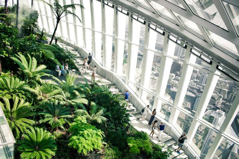 London: Sky Garden Early Access Ticket & Breakfast Treat - A pastry and a hot drink, not a full breakfast