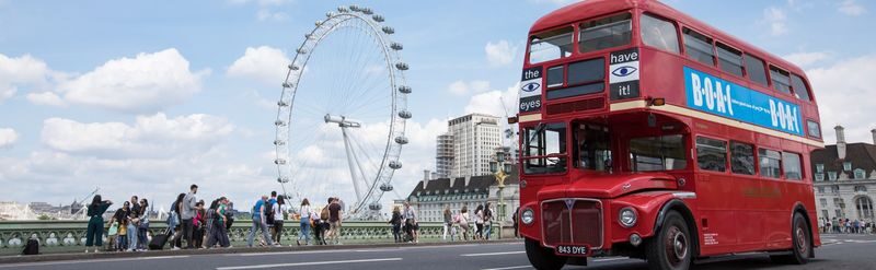 London Top 30 Attractions Half-Day Big Group Tour - Starting by Green Park and Buckingham Palace