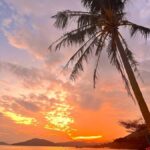 Long Coast-Cheung Sha Village Glamping, Caravan and Water Sports - Choosing a caravan or tent