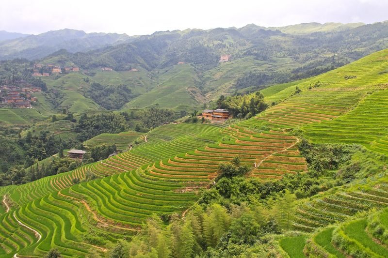 Longji Rice Terraced Fields and Minority Villages Tour - From Guilin to Ancient Zhuang Village