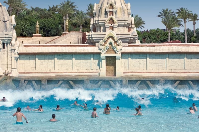 Loro Parque and Siam Park Ticket in Tenerife - Loro Parque: habitats, shows, and a conservation focus