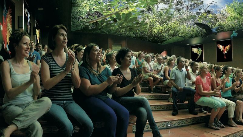 Loro Parque ticket - Start with the Shark Tunnel