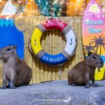Lotte World Aquarium Hanoi Ticket - Save time for the giant tank