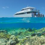 Low Isles Snorkeling Experience from Port Douglas - Snorkeling with help at hand