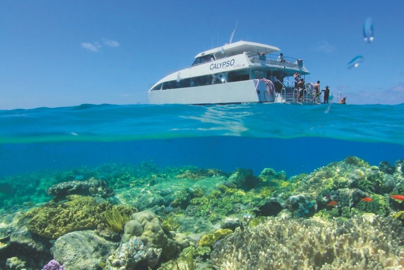 Low Isles Snorkeling Experience from Port Douglas - Snorkeling with help at hand