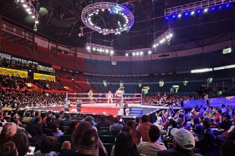 Lucha Libre Show Ticket in Mexico City - The masks are part of the story