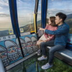 Luxury Lantau Tour with Crystal Cable Car, Tai O boat, hotel pick up - The Crystal Cabin ride sets the tone