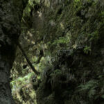 Madeira East Island Highlights tour with Rum tastings - Pico do Arieiro: the high point