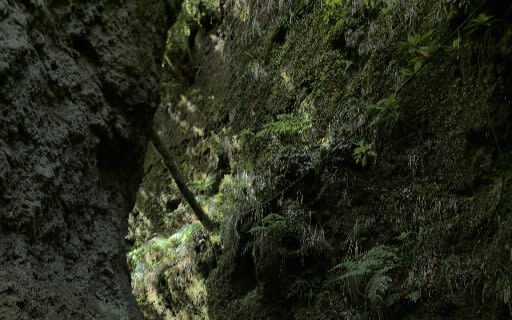 Madeira East Island Highlights tour with Rum tastings - Pico do Arieiro: the high point