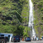 Madeira West Coast Full-Day Nature Tour with Hotel Transfer - Forest scenery and the case for a quick viewpoint pause