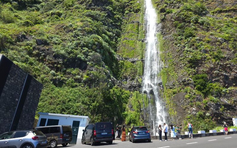 Madeira West Coast Full-Day Nature Tour with Hotel Transfer - Forest scenery and the case for a quick viewpoint pause