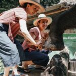 Maerim Elephant Home Chiang Mai - From the briefing to the river