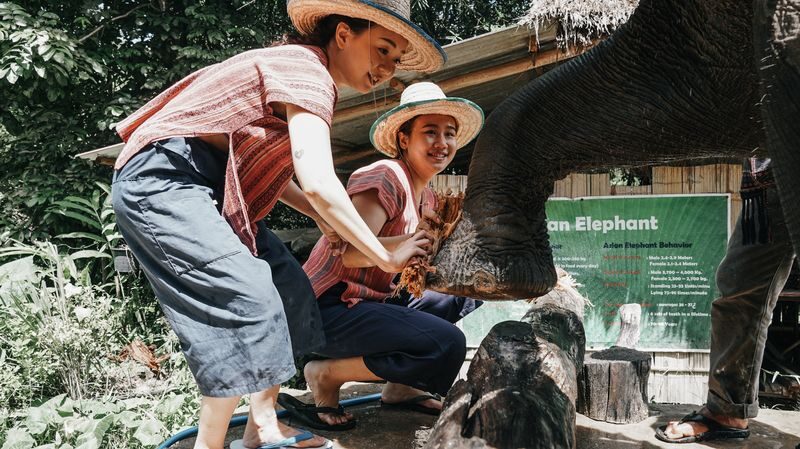 Maerim Elephant Home Chiang Mai - From the briefing to the river