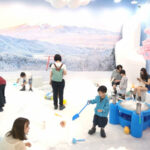 MAGIC ICE Ice Magic Ticket - Key points before you book