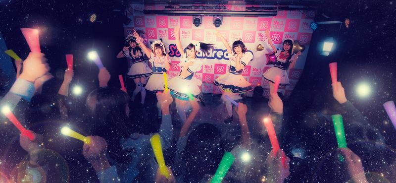 Maid Cafe & Dining Experience: Maidreamin HYPER (Hokkaido) - How the one-hour visit works