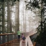 Malahat Skywalk Ticket - The Sizzler Slide and SkyWeb