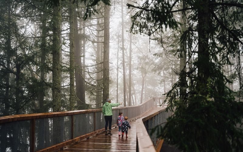 Malahat Skywalk Ticket - The Sizzler Slide and SkyWeb