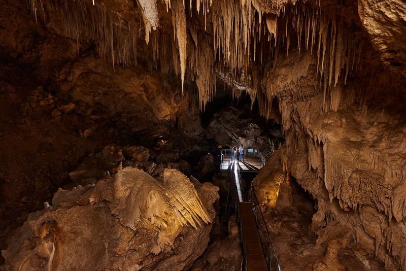 Mammoth Cave Self-Guided Audio Tour in Margaret River - Stairs, sinkhole, and a forest walk back