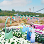 Manhua Manor - Finding your way through the flower areas