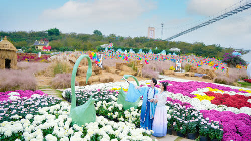 Manhua Manor - Finding your way through the flower areas