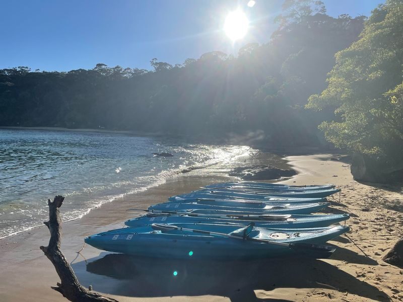 Manly Guided Kayak Tour - Choose between the 1.5-hour taster and longer route