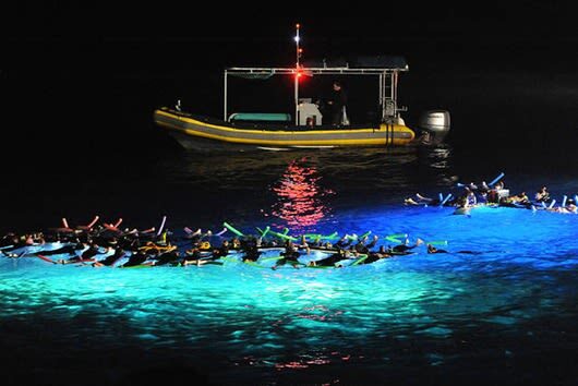 Manta Ray Night Snorkel Experience on Big Island - What the evening includes